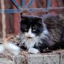 Неустойчивая погода снова ожидается в Приморье на этой неделе