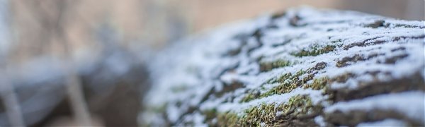 Циклон принесёт в Приморье потепление и небольшие осадки