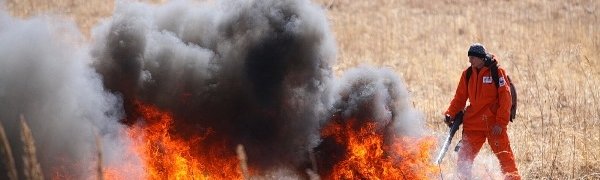 За выходные в Приморье ликвидировали 14 лесных пожаров