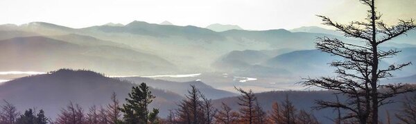 Переменчивая прохладная погода ожидается в Приморье на этой неделе