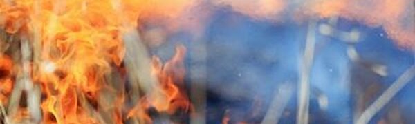 За три дня в Приморье выгорело 260 га леса из-за тёплой и сухой погоды