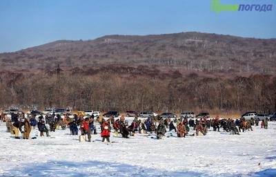 Прогноз погоды на выходные: морозы в Приморье начинают отступать Прогноз погоды на выходные: морозы в Приморье начинают отступать