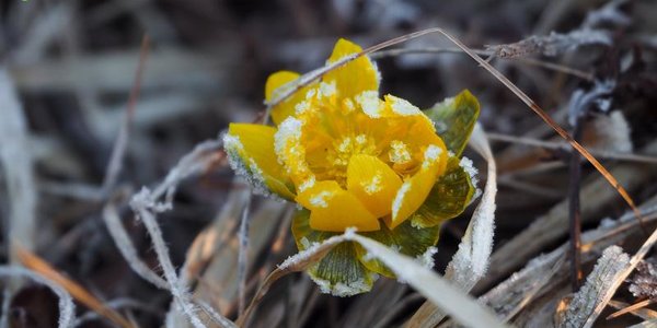 Самый сильный снегопад за всю зиму прошёл в Приморье в марте