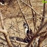 Переменчивая весенняя погода ждёт в Приморье в выходные