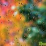 В воскресенье в Приморье пройдут дожди
