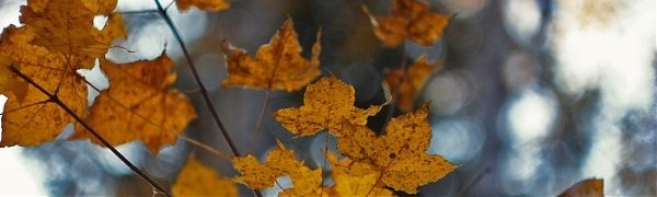 В выходные дни погода в Приморье вновь ухудшится