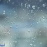 В среду во Владивостоке облачно, возможен небольшой дождь