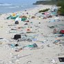 Экологи обнаружили самый грязный остров на планете