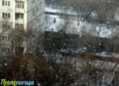Завтра в Приморье пройдет небольшой снег Завтра в Приморье пройдет небольшой снег