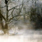 Затеряться в тумане