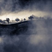 Затеряться в тумане
