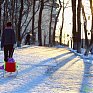 Ночь на 23 января во Владивостоке будет самой холодной за всю зиму