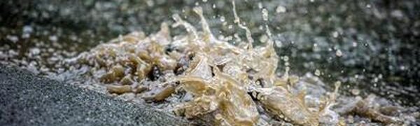 Подъем уровней воды наблюдается на большинстве рек Приморья