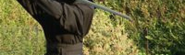Американского ниндзя накажут за попытки притвориться камнем