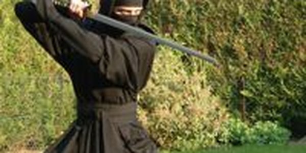 Американского ниндзя накажут за попытки притвориться камнем