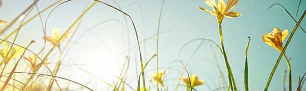 Июль 2017 года стал самым тёплым последние 137 лет