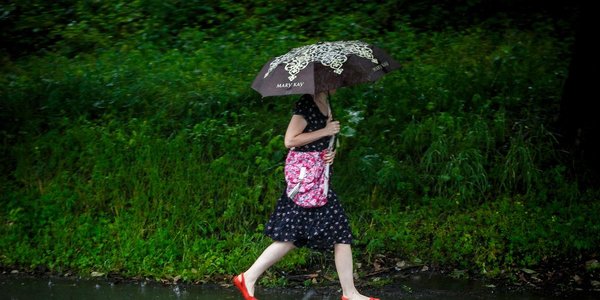Ночью 24 августа сильные дожди охватят юг Приморья, а днём — север