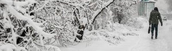 Мощный циклон принесет в Приморье осадки, местами сильные, на выходных