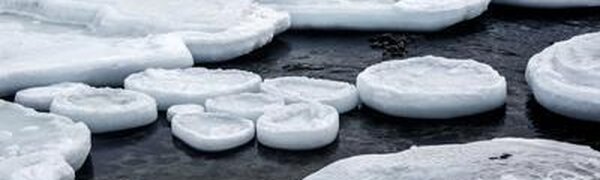 Взлом припайного льда ожидается в заливах Владивостока 15 — 16 марта