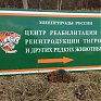 Ежиха Женя благополучно вернулась в природу