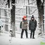 Небольшой снег, на побережье усилится ветер: с чего начнется февраль в Приморье