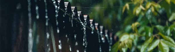 На выходных больше всего дождя выпало в Лесозаводском районе