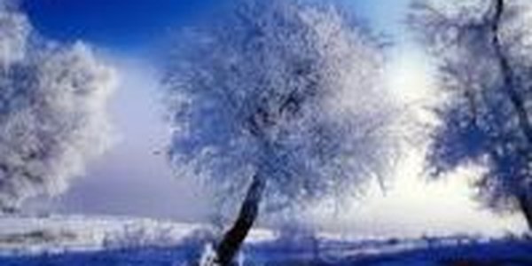 Устойчивая январская погода сохраняется в Приморье