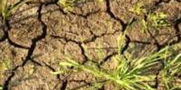 Рекордная засуха в Китае оставила без воды 240 тысяч