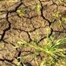 Рекордная засуха в Китае оставила без воды 240 тысяч