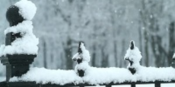 Куда двинется циклон из Приморья?