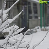 Снежный конец недели во Владивостоке(ФОТО)