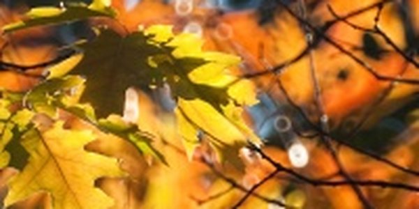 В Приморье сохраняется сухая солнечная погода