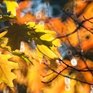 В Приморье сохраняется сухая солнечная погода