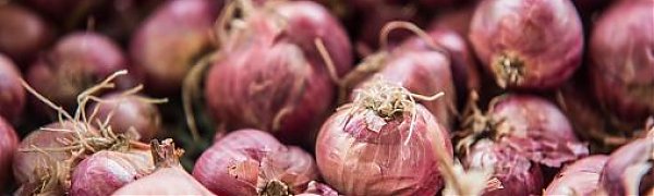 Продуктовая ярмарка развернётся во Владивостоке 9 и 10 сентября