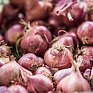 Продуктовая ярмарка развернётся во Владивостоке 9 и 10 сентября