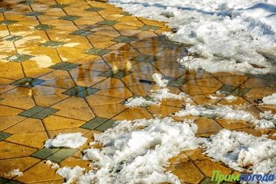 Учёные выяснили, какая тротуарная плитка самая скользкая