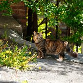 В Приморье пришла летняя погода с грозовыми дождями