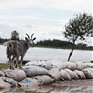 Возникновение ЧС ожидается в Хабаровском крае в связи с подъем уровня воды в Амуре