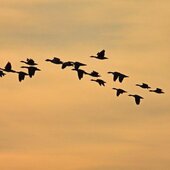 Март в Сихотэ-Алинском заповеднике — половодье солнечных лучей