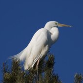 Март в Сихотэ-Алинском заповеднике — половодье солнечных лучей