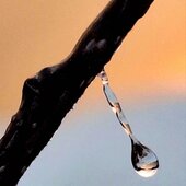 Март в Сихотэ-Алинском заповеднике — половодье солнечных лучей