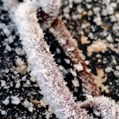 Март в Сихотэ-Алинском заповеднике — половодье солнечных лучей