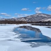 Март в Сихотэ-Алинском заповеднике — половодье солнечных лучей