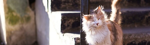 Сегодня во Владивостоке будет тепло и солнечно