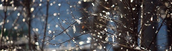 Резкое ухудшение погоды ожидается в Приморье в выходные дни