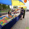 Владивосток отпраздновал День российской молодежи