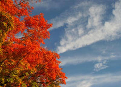 В ближайшие дни в Приморье станет прохладнее