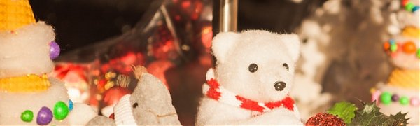 Предновогодние выходные в Приморье были тёплыми