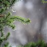 Сегодня в Приморье пройдут сильные осадки, местами очень сильные