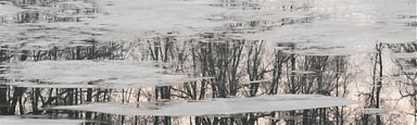 Реки Приморья освобождаются ото льда